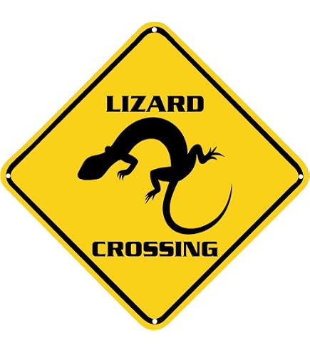 Amazon.com: GRAPHICS & MORE Plastic Sign Lizard Crossing - 6